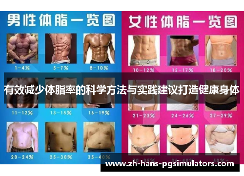 有效减少体脂率的科学方法与实践建议打造健康身体