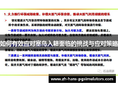 如何有效应对塞鸟入籍面临的挑战与应对策略