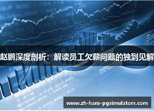 赵鹏深度剖析：解读员工欠薪问题的独到见解