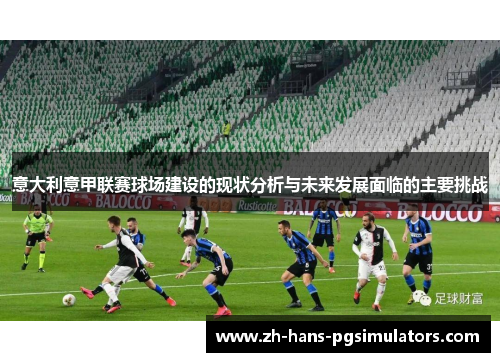 意大利意甲联赛球场建设的现状分析与未来发展面临的主要挑战