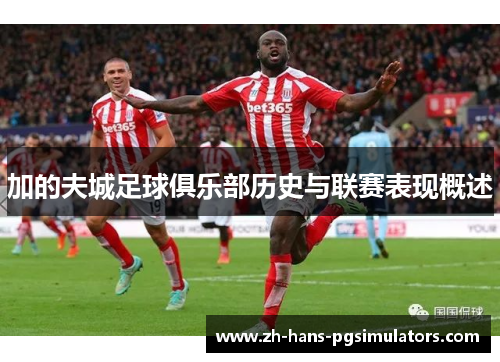 加的夫城足球俱乐部历史与联赛表现概述