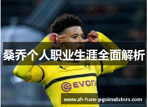 桑乔个人职业生涯全面解析