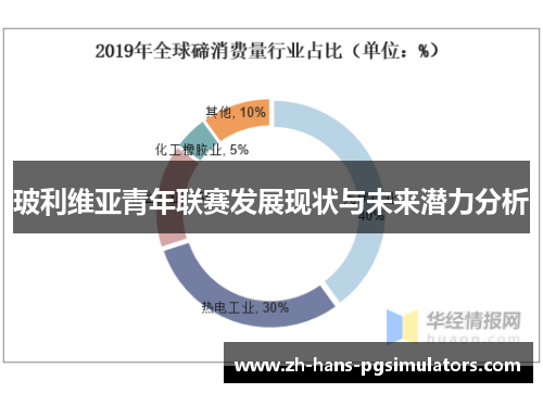 玻利维亚青年联赛发展现状与未来潜力分析