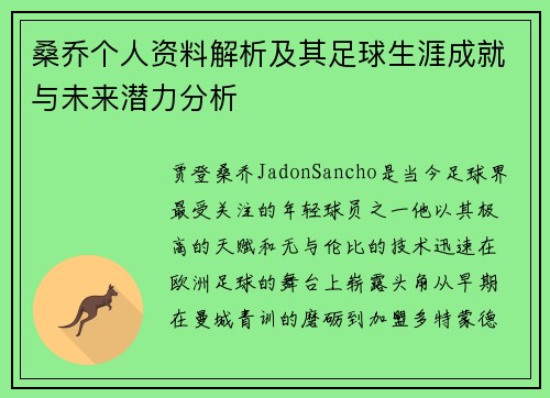 桑乔个人资料解析及其足球生涯成就与未来潜力分析